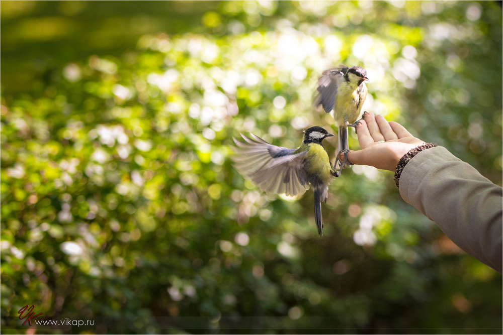 20120814 13 19 23 CX3B0483