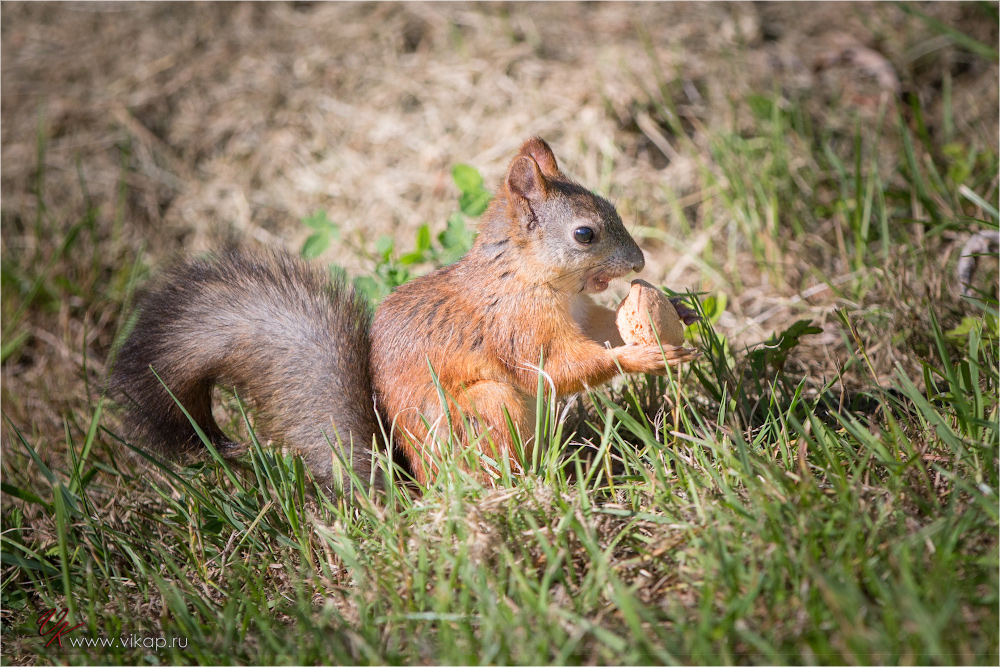 20120814 14 02 38 CX3B0570