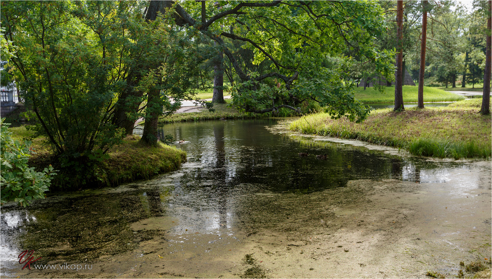 20120815 13 42 26 CX3B1066