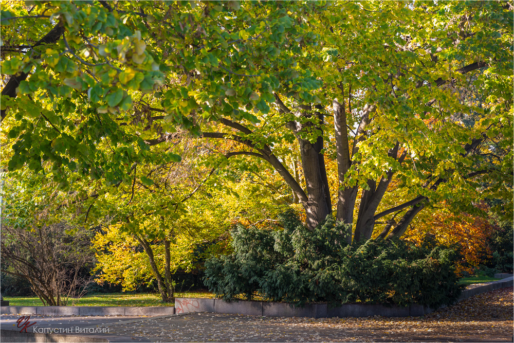 20141104 15 42 33 CX3B8558