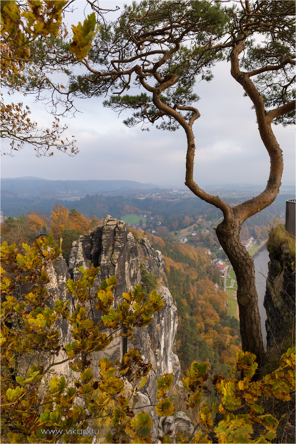 20141103 17 02 21 CX3B8388