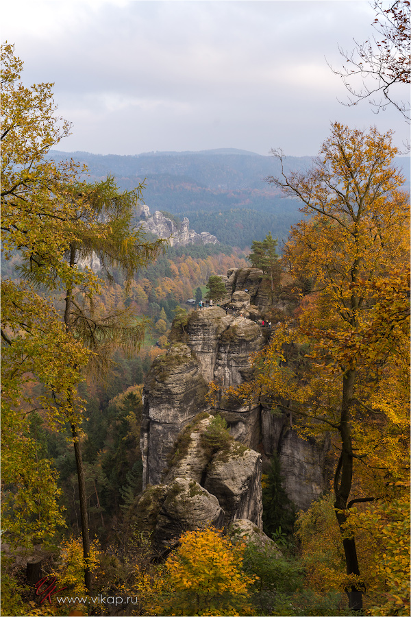 20141103 17 04 38 CX3B8394