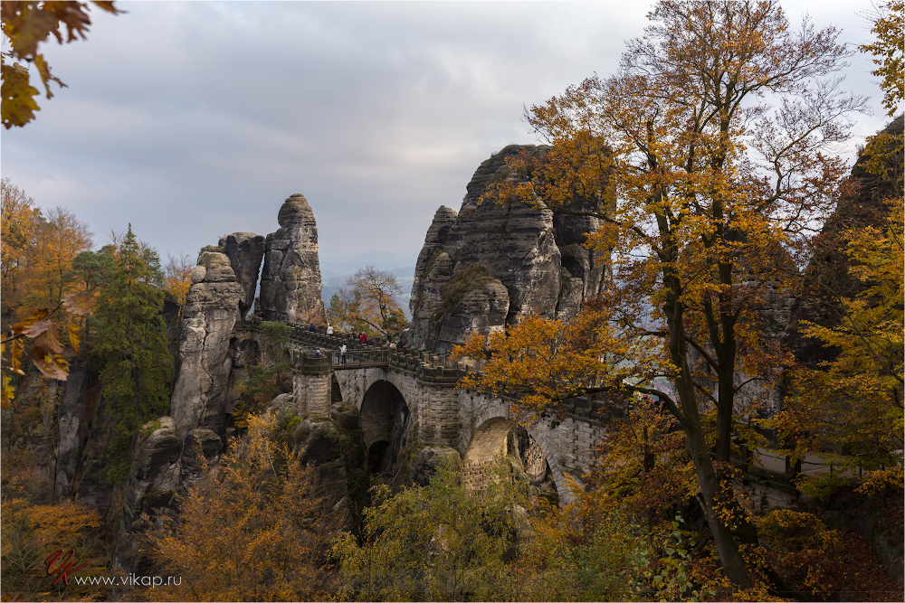 20141103 17 06 42 CX3B8398