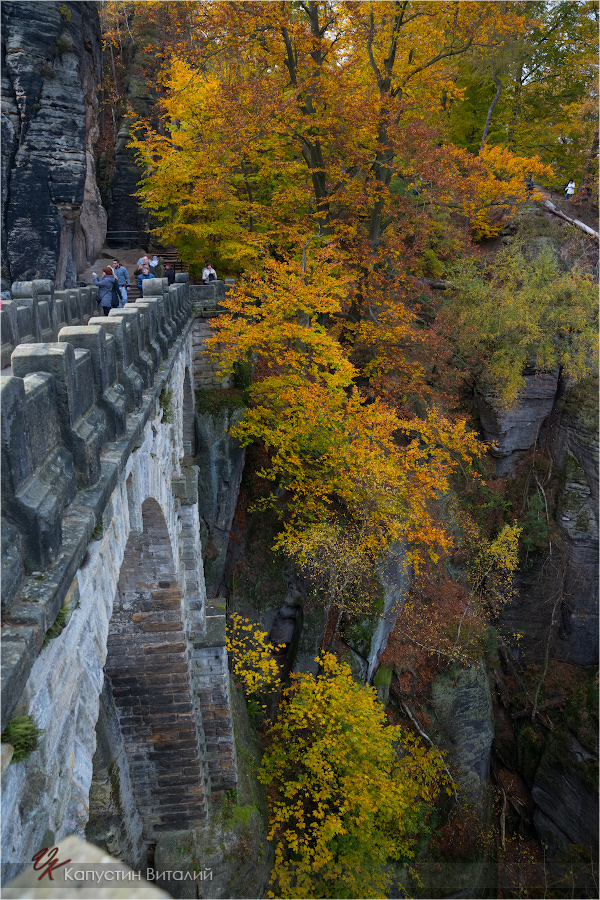 20141103 17 15 55 CX3B8439