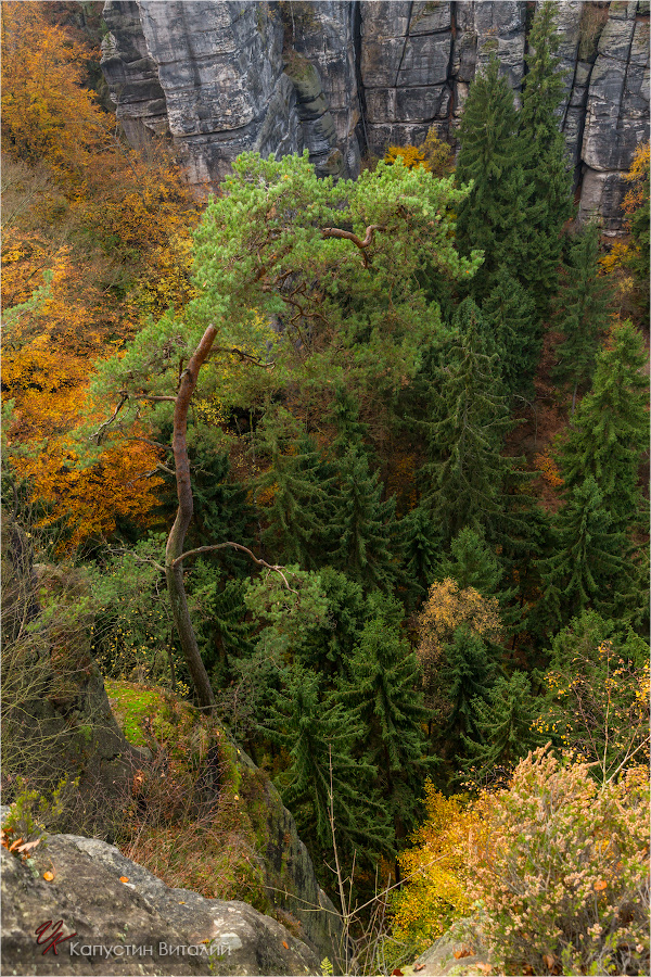 20141103 17 21 55 CX3B8466