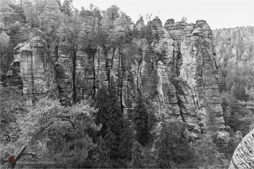 20141103 17 22 17 CX3B8469