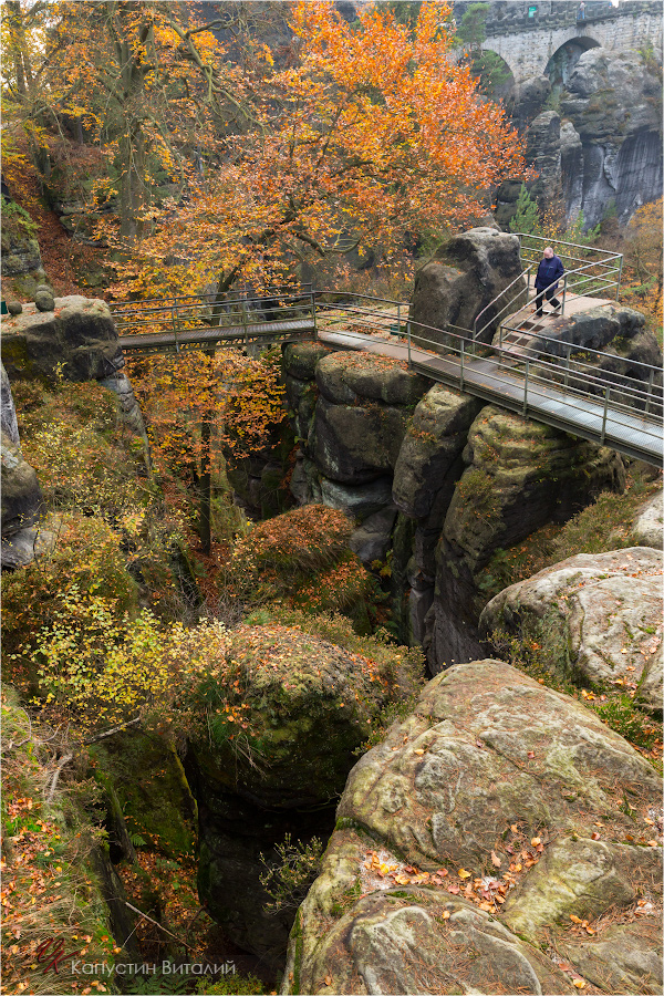 20141103 17 23 14 CX3B8472