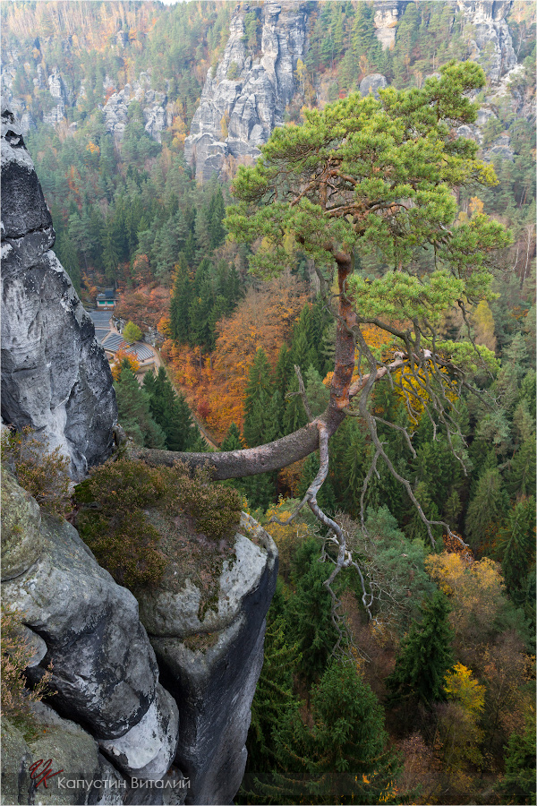 20141103 17 23 55 CX3B8473