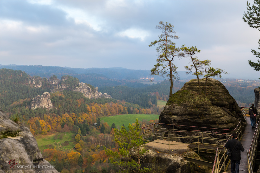 20141103 17 24 59 CX3B8477