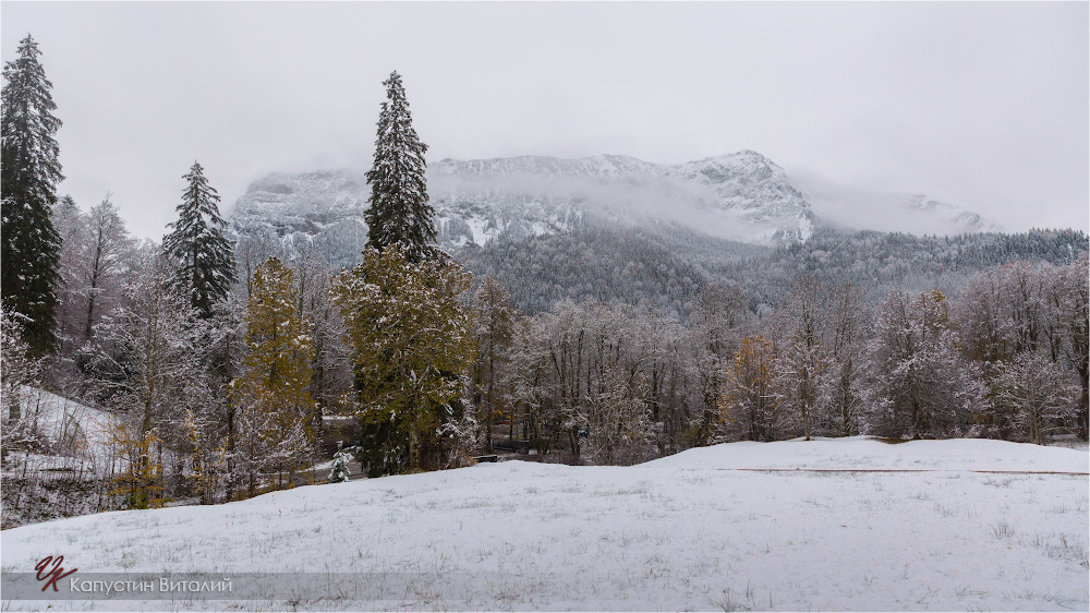 20141106 11 42 00 CX3B9108