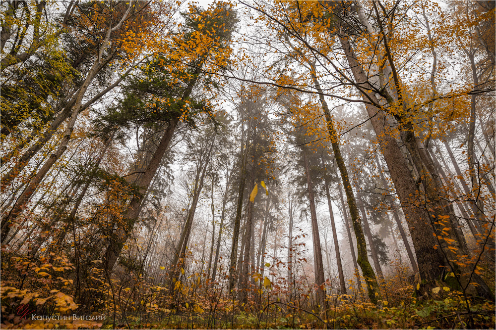 20141106 14 59 38 CX3B9358