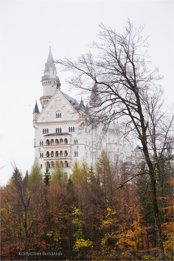 20141106 15 28 45 CX3B9444