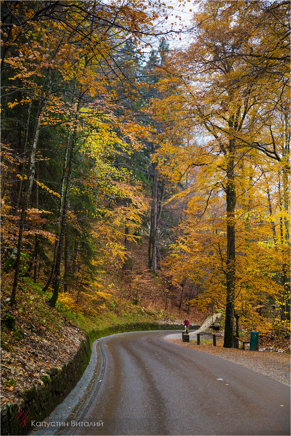 20141106 16 43 09 CX3B9540