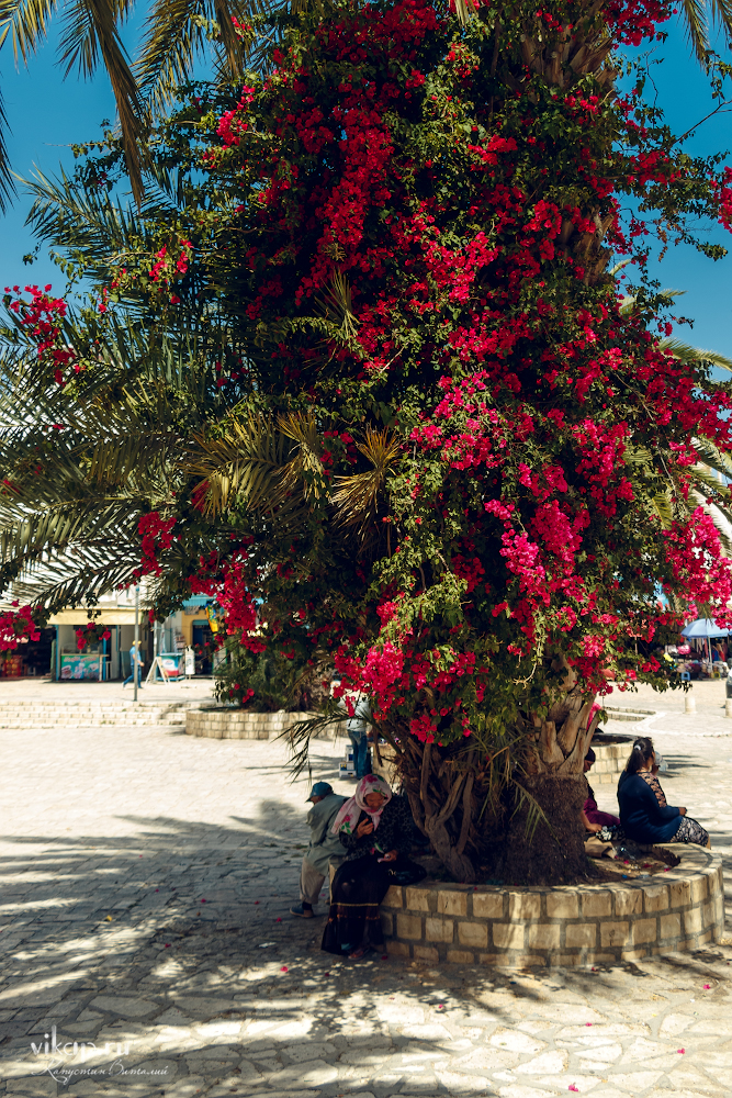 20170506 13 08 33 IMG 5336