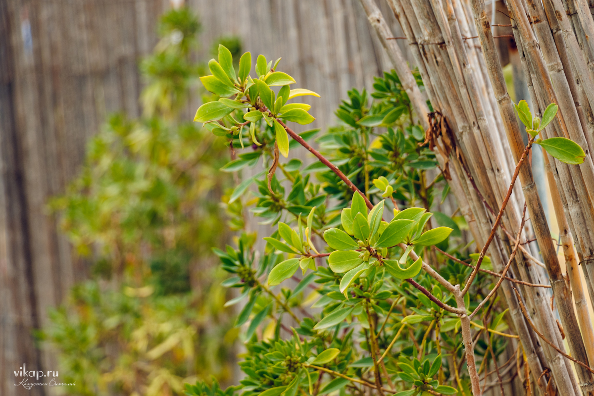 20170514 18 40 31 IMG 6379