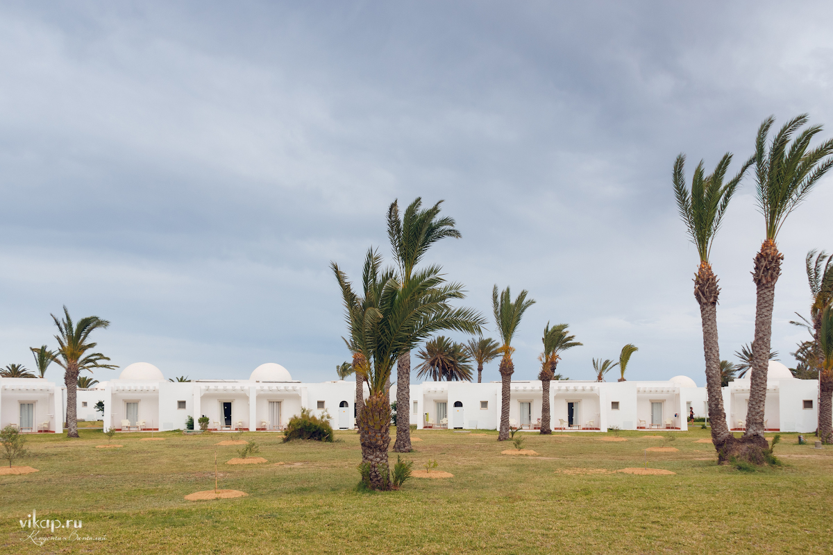 20170514 19 26 45 IMG 6458