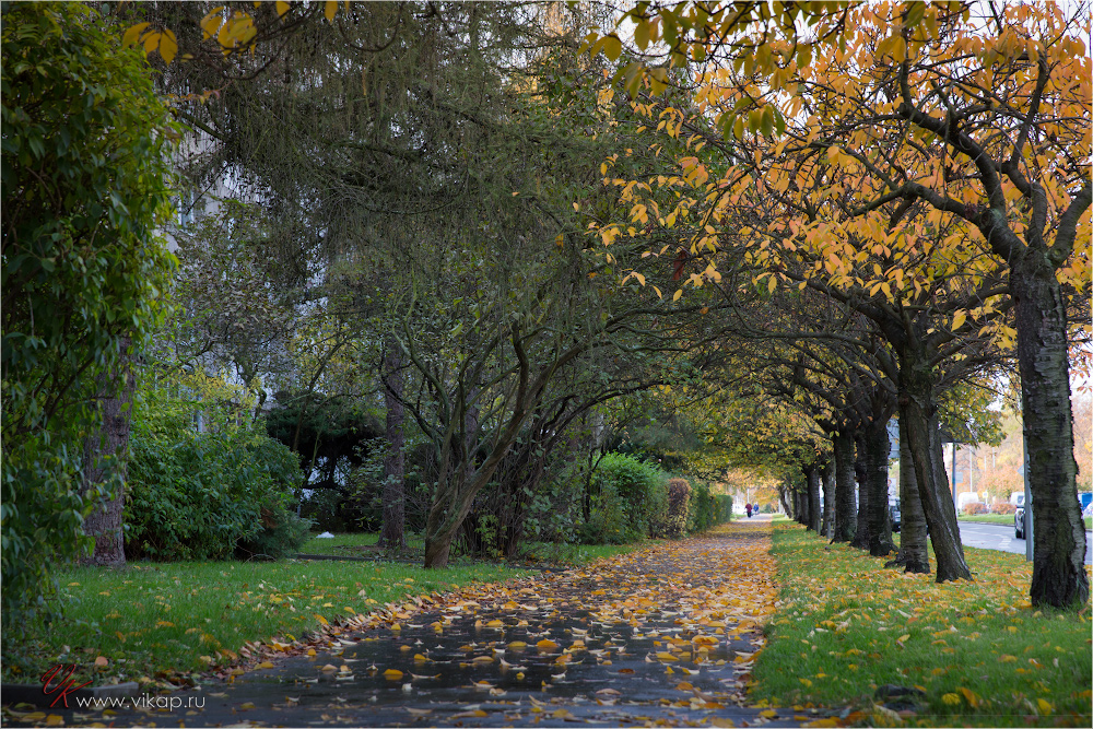 20131021 14 10 35 WED 3756