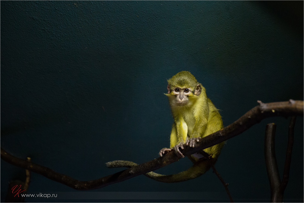 20131025 18 55 41 WED 6292