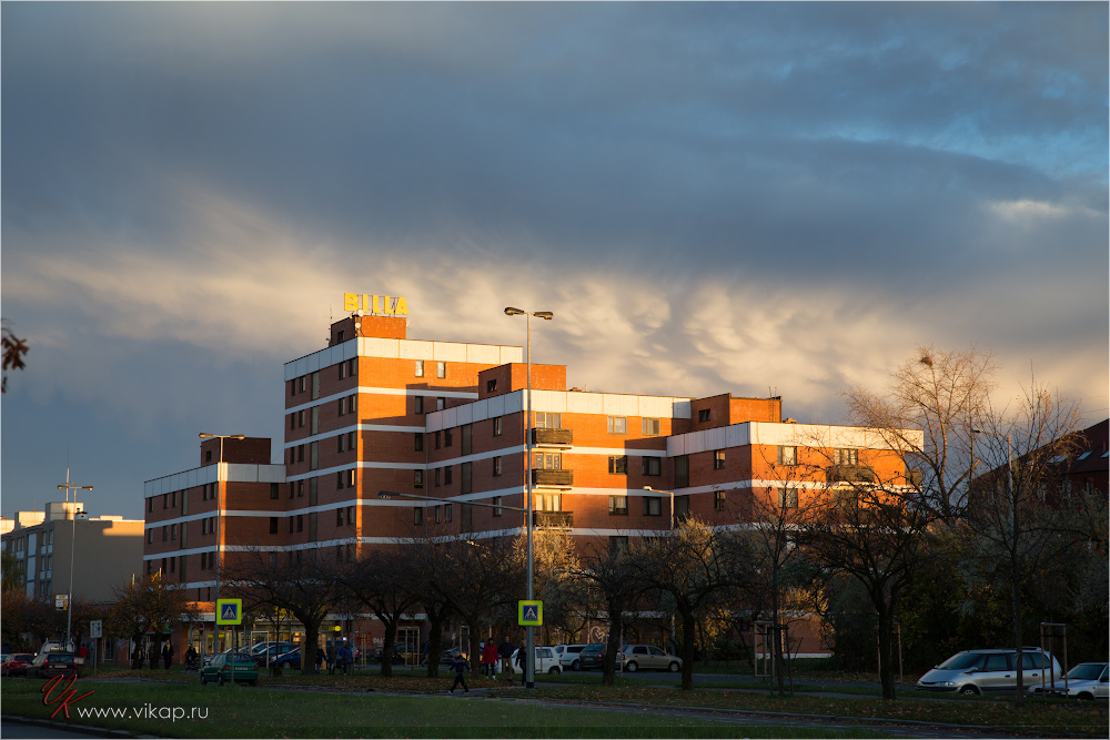 20131027 19 31 49 WED 7299