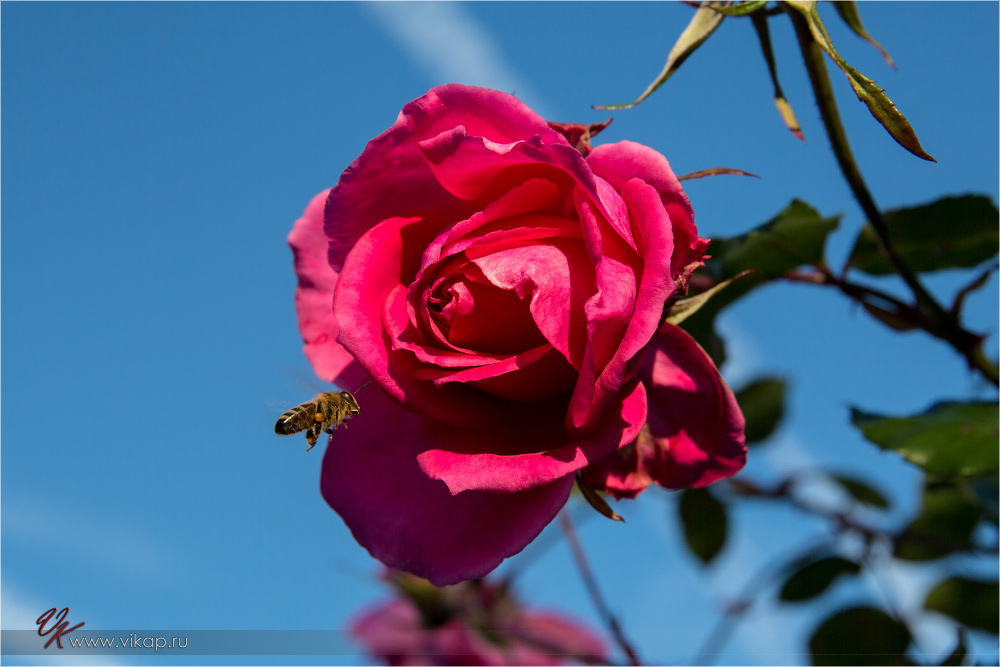 20131028 18 17 12 WED 7756