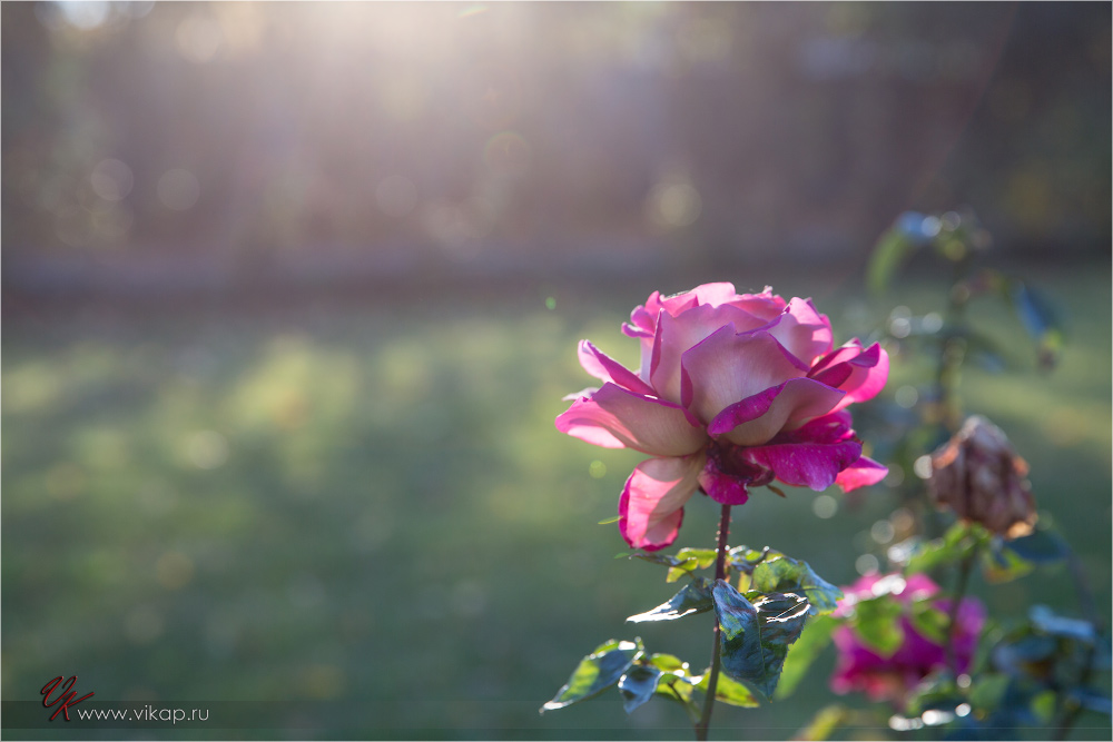 20131028 18 22 42 WED 7766