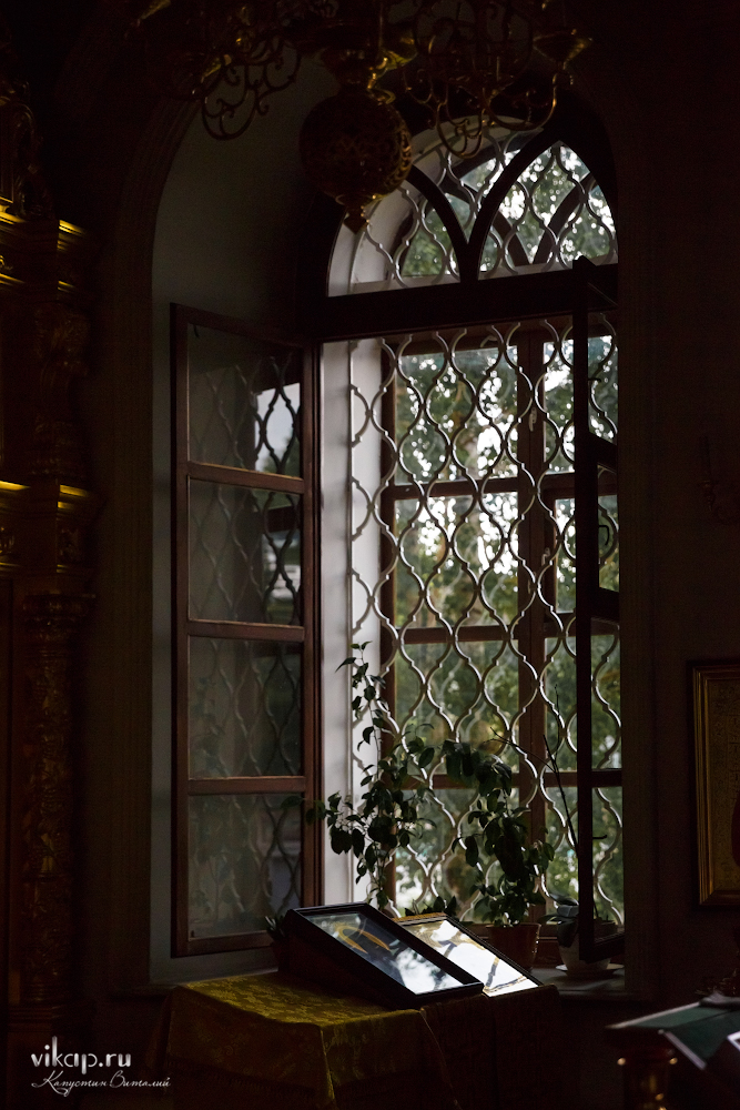 20170625 12 13 53 VIK 4846