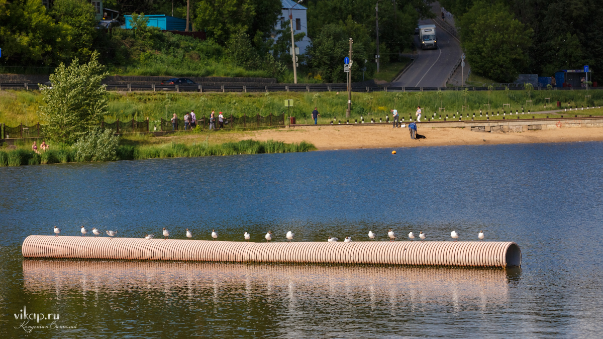 20170628 14 37 25 VIK 5276