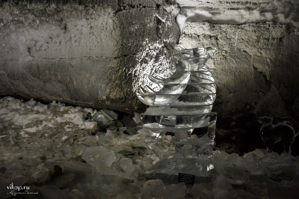 20170625 14 00 22 VIK 4959