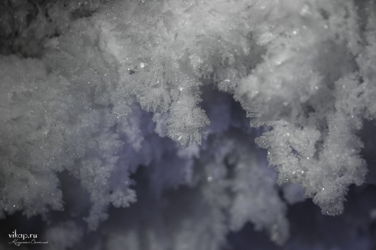 20170625 14 02 55 VIK 4966