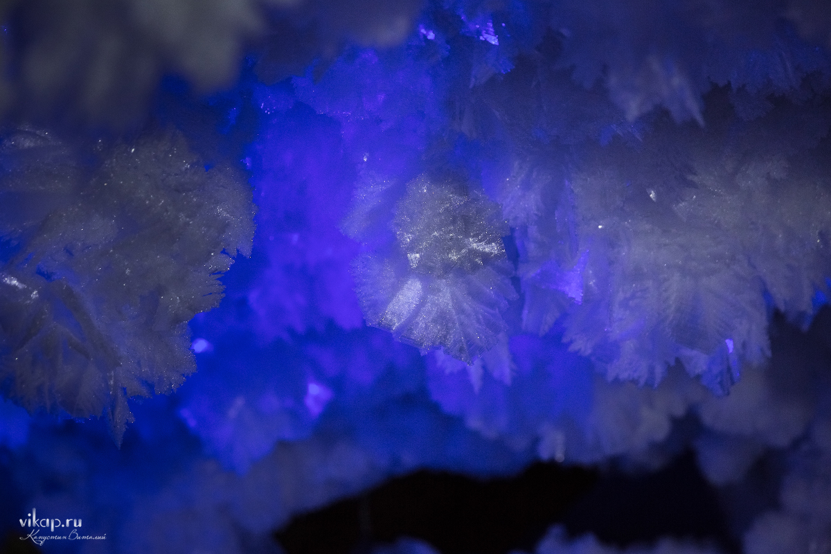 20170625 14 02 59 VIK 4968