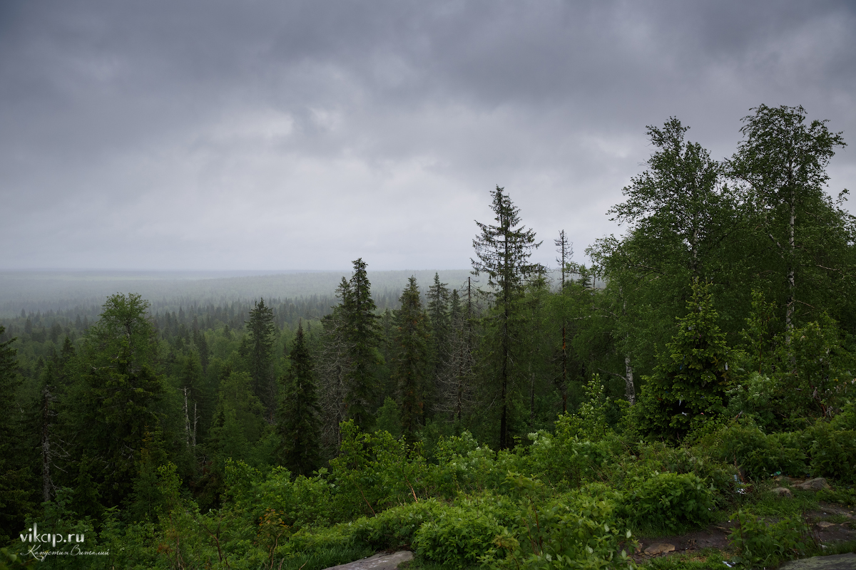 20170626 10 14 40 VIK 5037