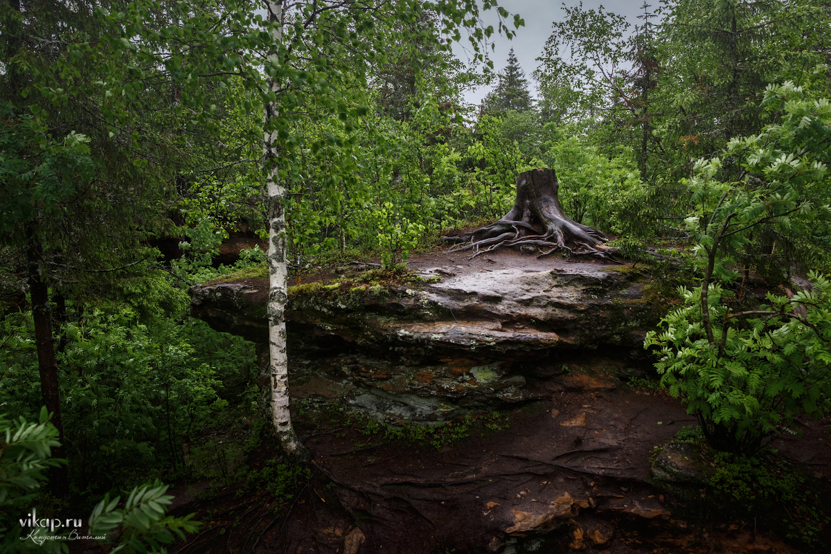 20170626 11 14 57 VIK 5046