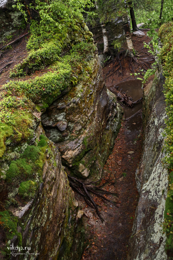 20170626 11 16 35 VIK 5049