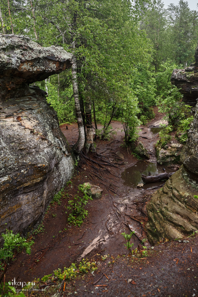 20170626 11 19 02 VIK 5057