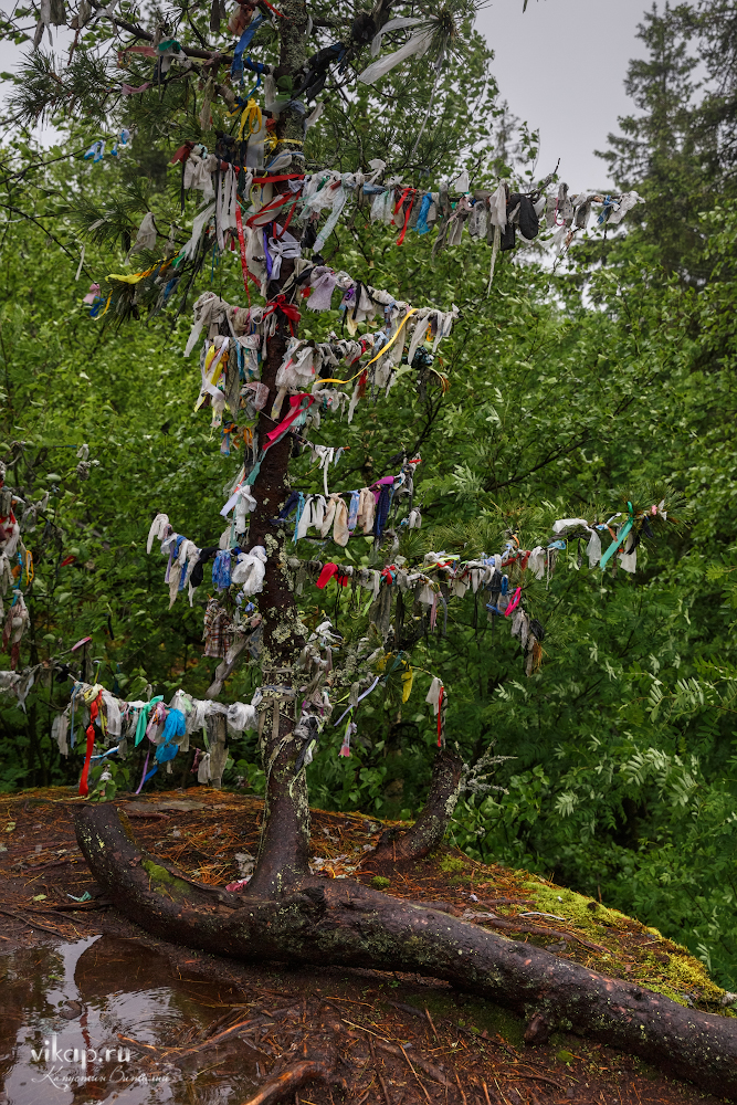 20170626 11 19 11 VIK 5058