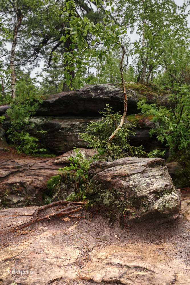 20170626 11 23 07 VIK 5060