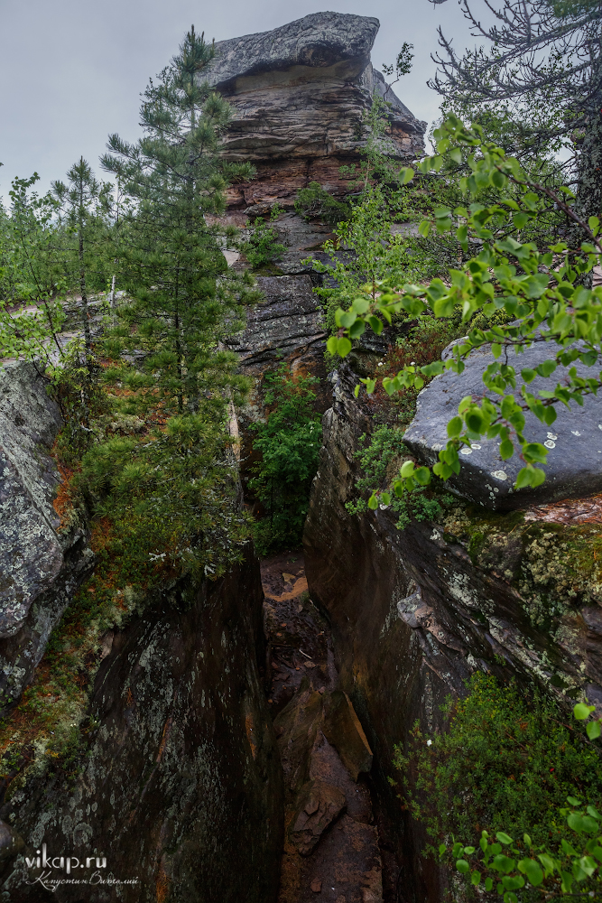 20170626 11 27 27 VIK 5069