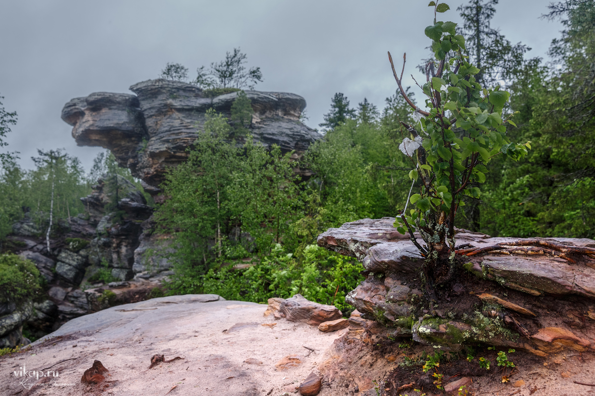 20170626 11 27 58 VIK 5070