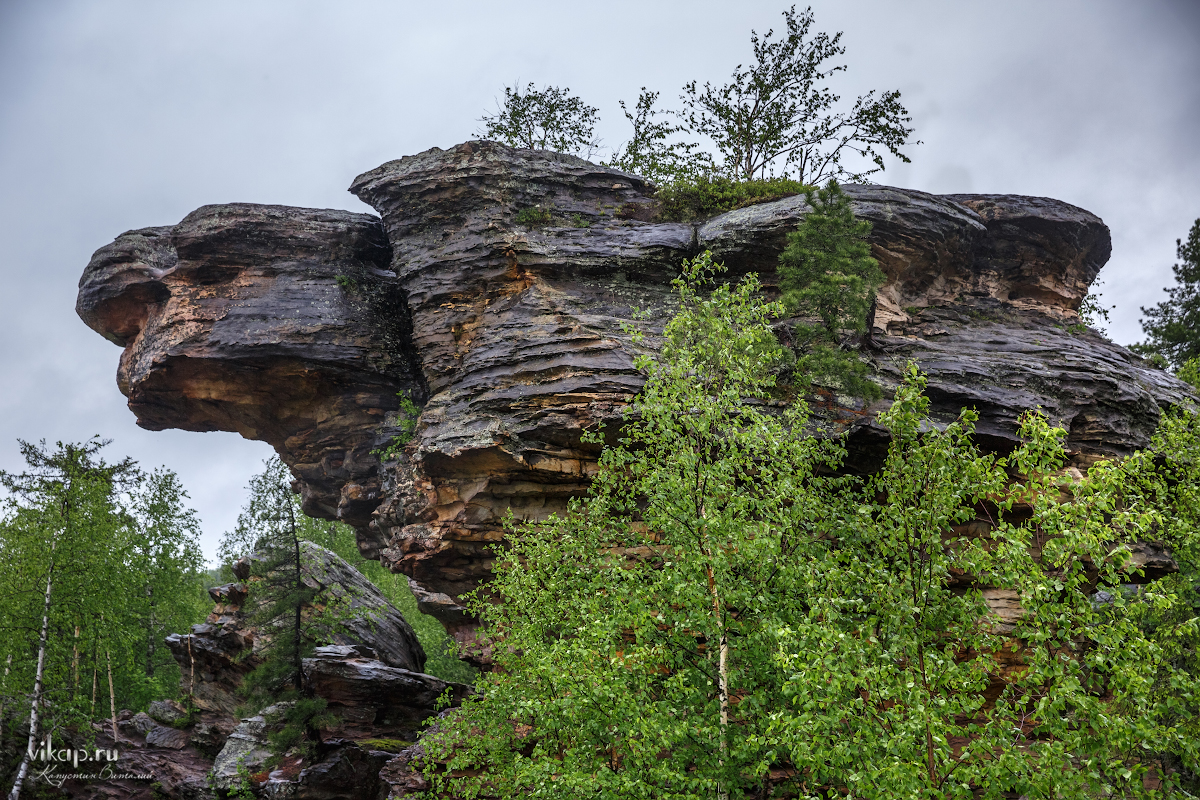 20170626 11 28 29 VIK 5072