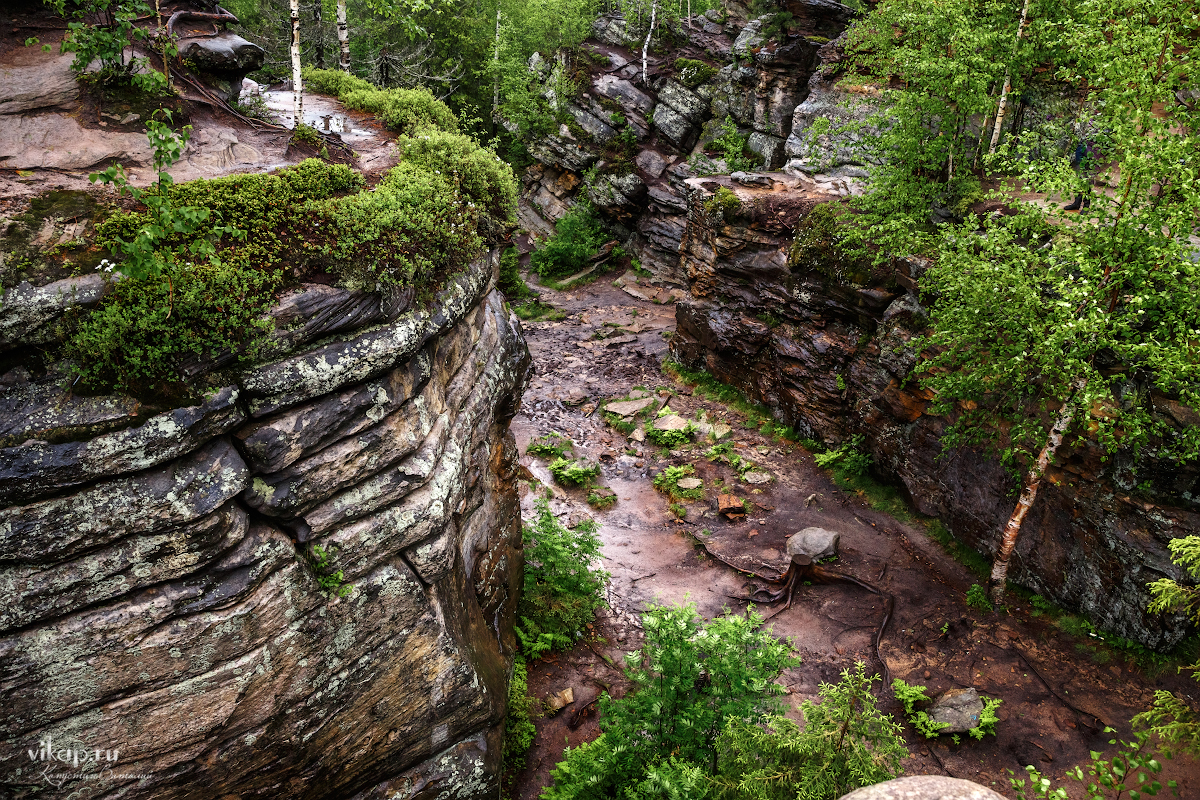 20170626 11 28 51 VIK 5074