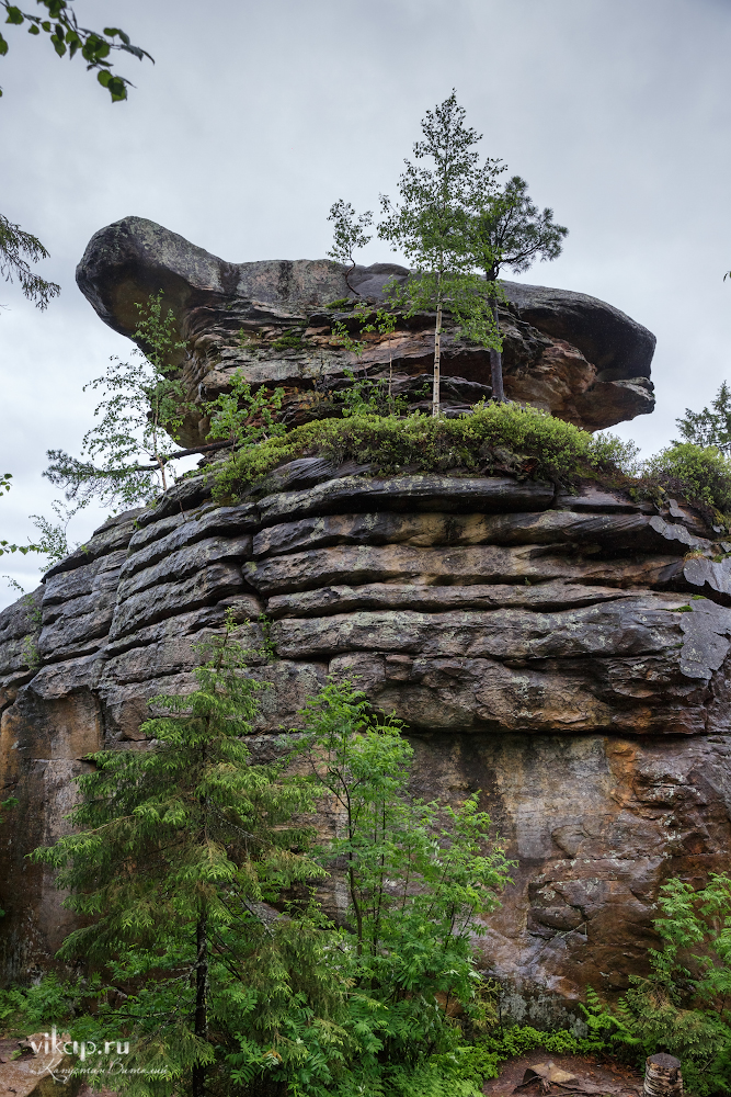 20170626 11 34 20 VIK 5081