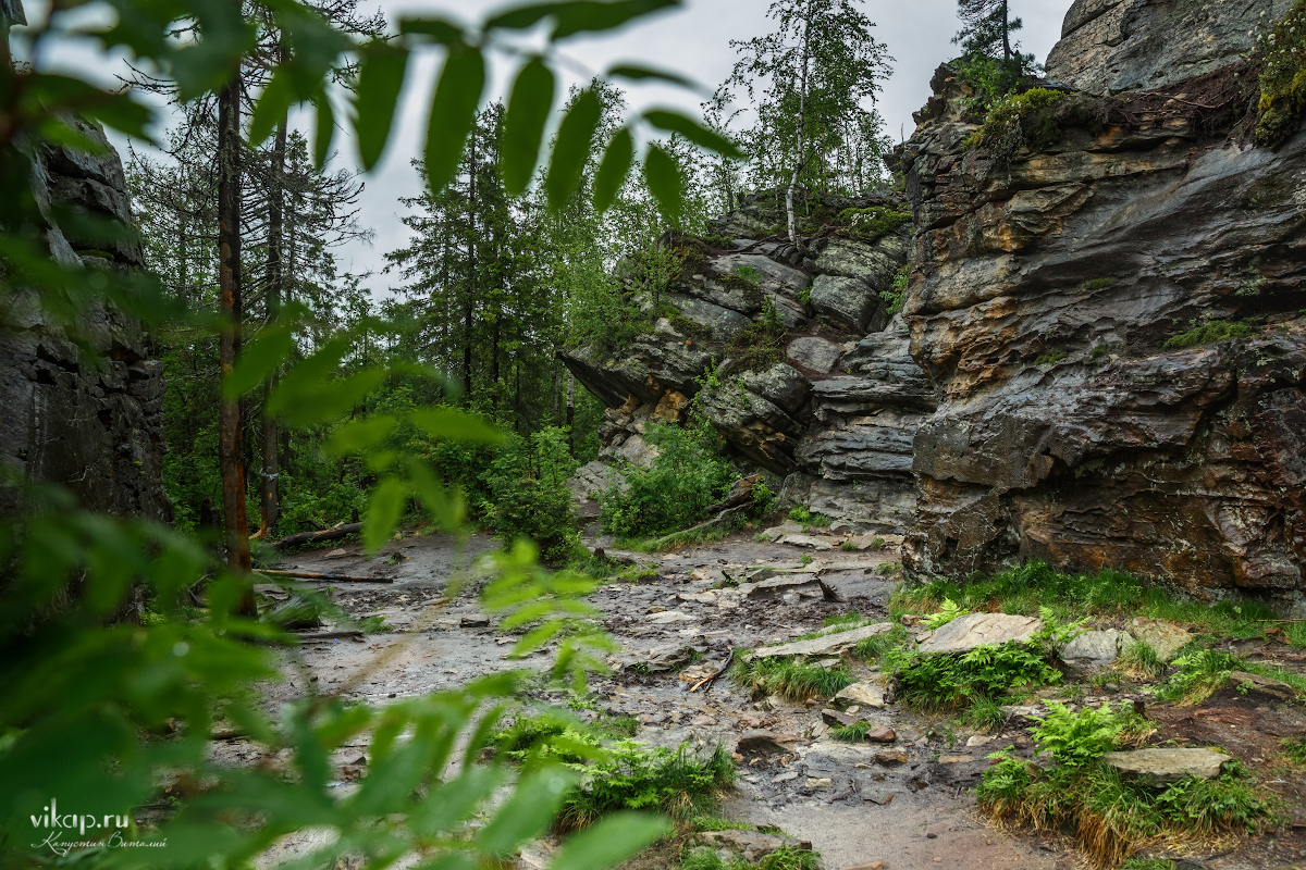 20170626 11 36 36 VIK 5089