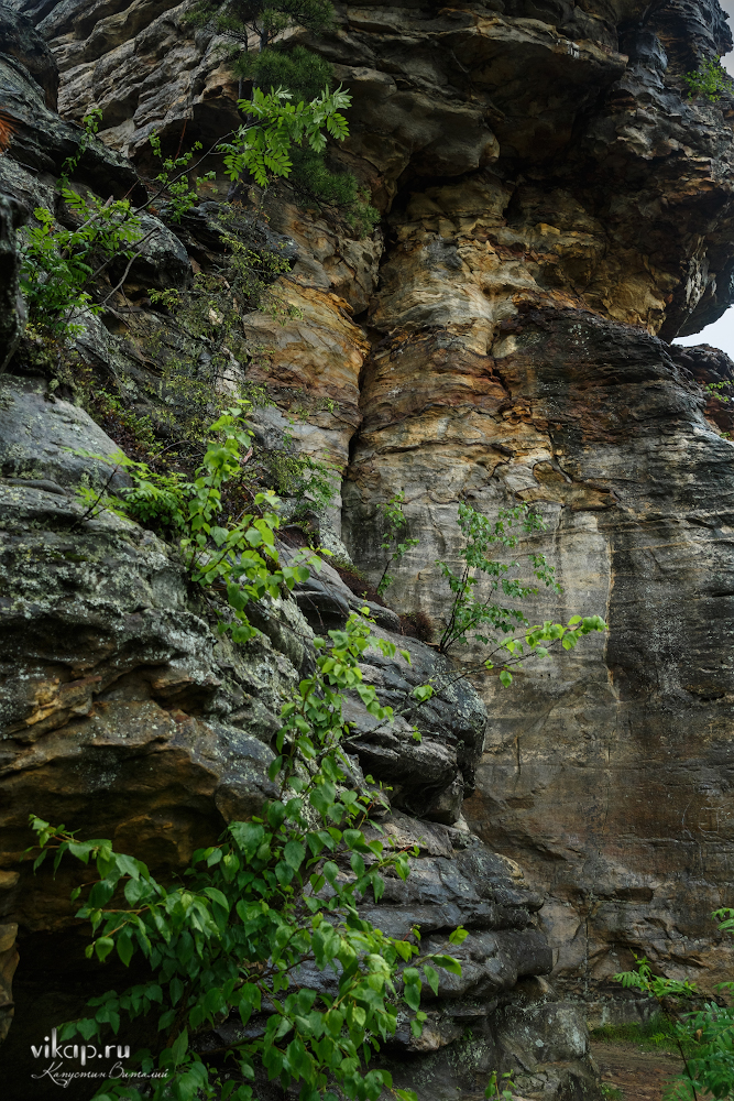 20170626 11 40 15 VIK 5093