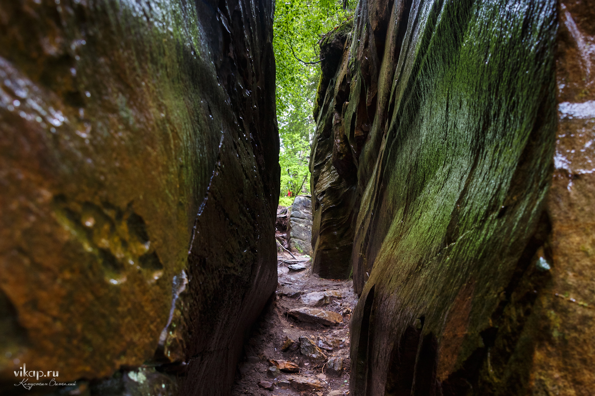 20170626 11 43 11 VIK 5095