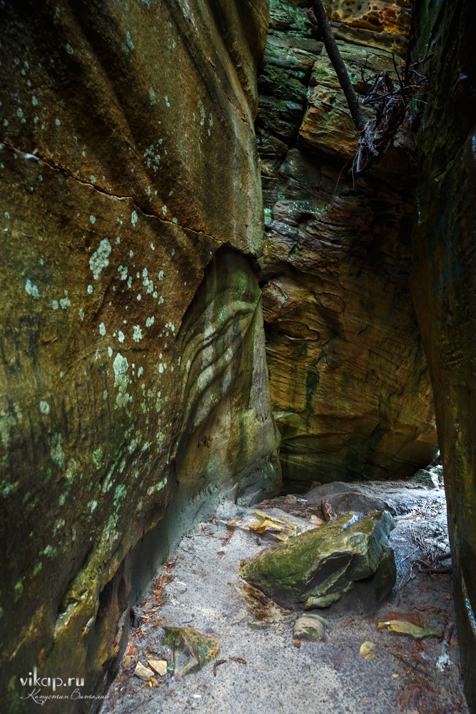 20170626 11 43 25 VIK 5097