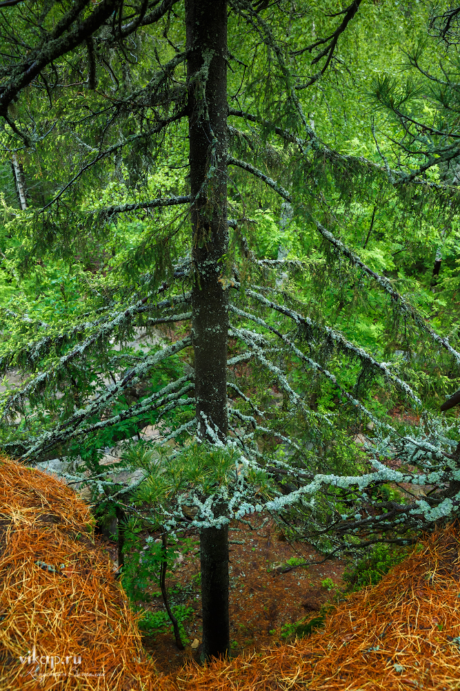 20170626 11 48 53 VIK 5108