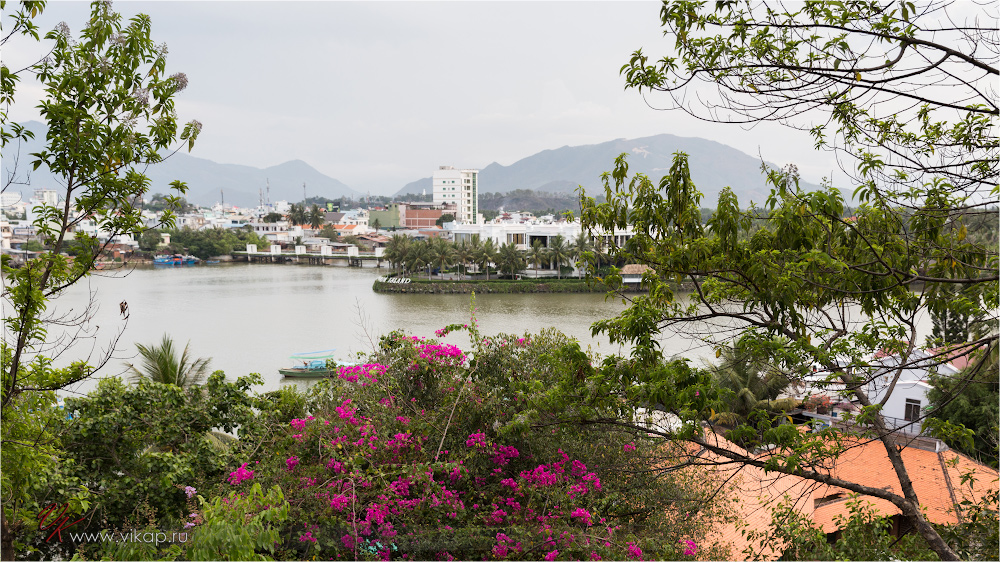 20140508 14 11 39 WED 8015