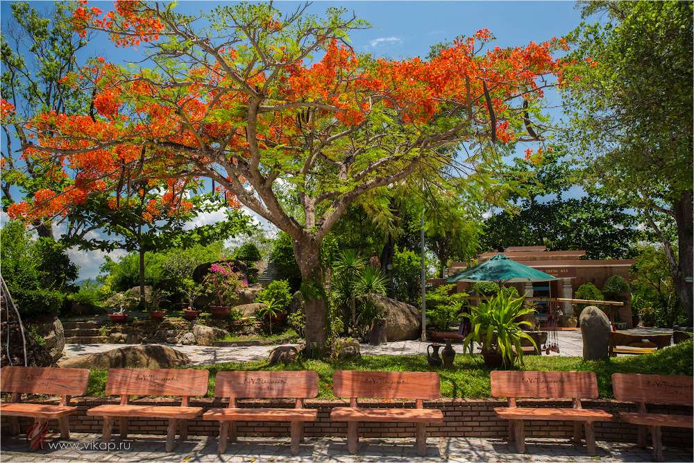 20140509 08 52 28 WED 8168