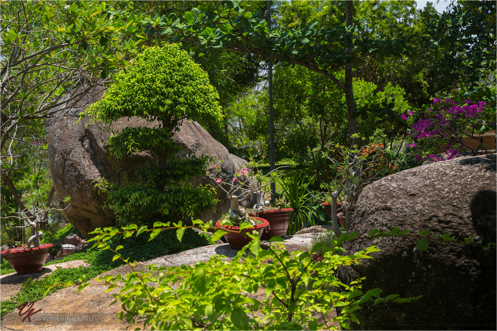 20140509 08 59 52 WED 8185