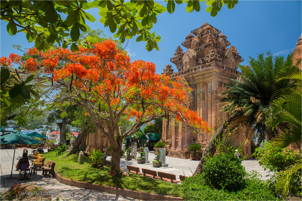 20140509 09 08 26 WED 8192